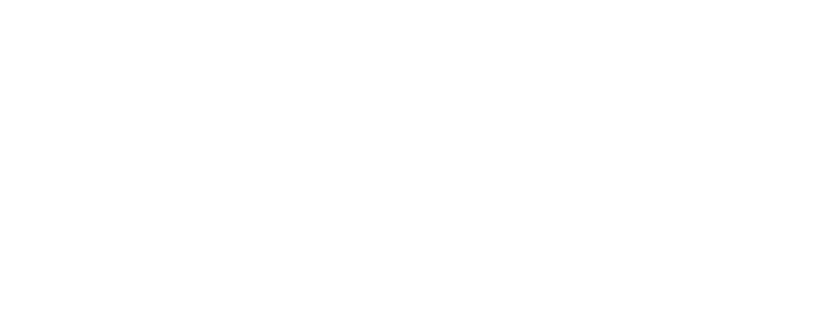 logo_FIPROSS_orig BIELE